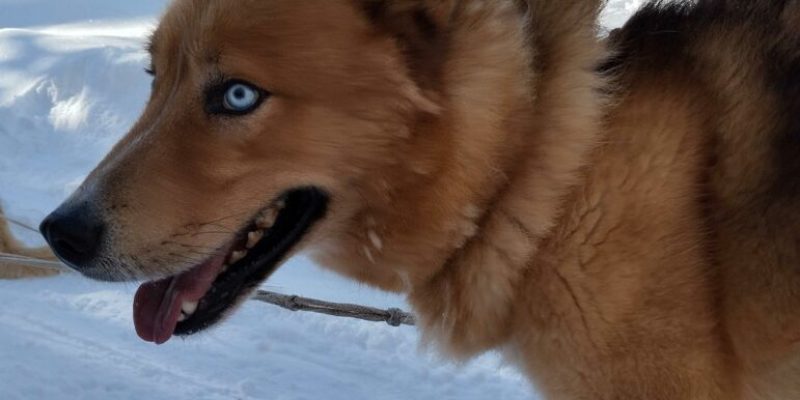 1000006465redim-771x1024