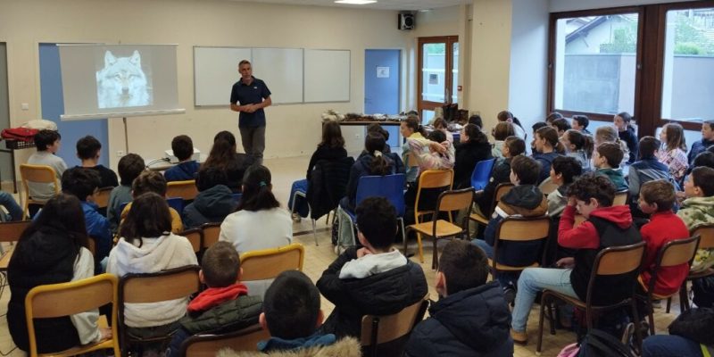 1000011293redim-1024x574