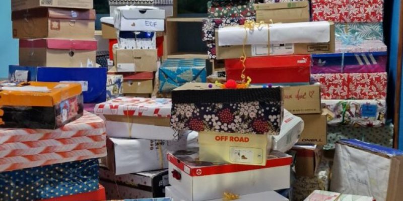 20231205_151907-651x1024