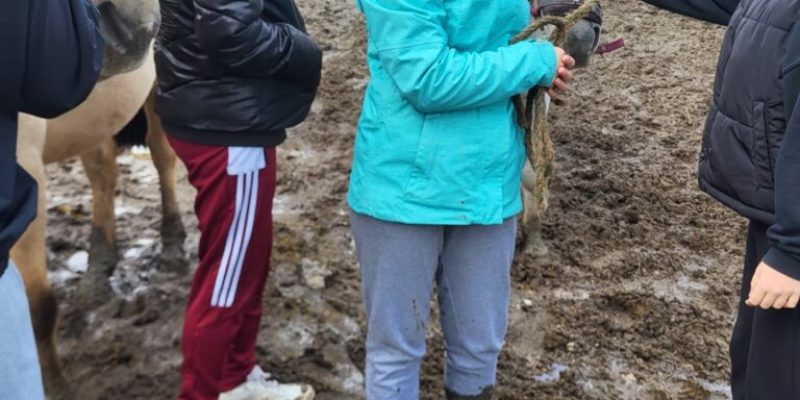 20241003_100530-768x1024