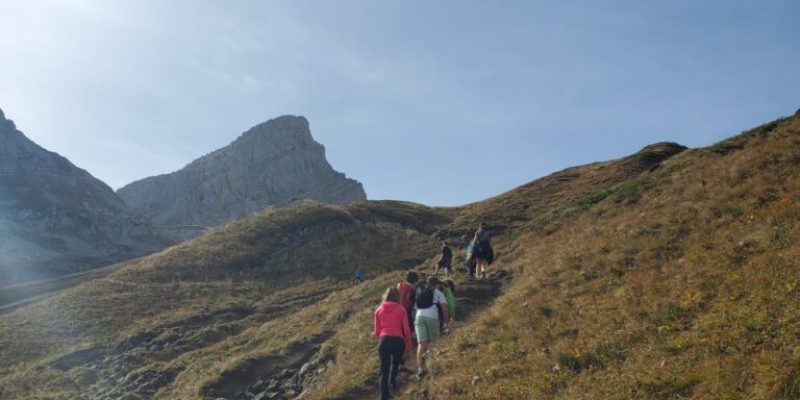 20241015_151923-768x1024