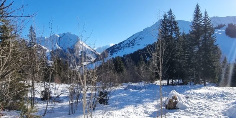 20250116_102039-1024x576