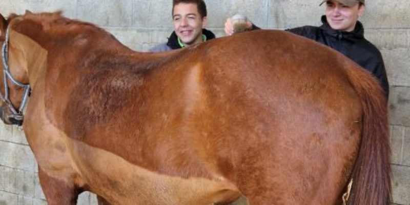 20250407_101815-473x1024