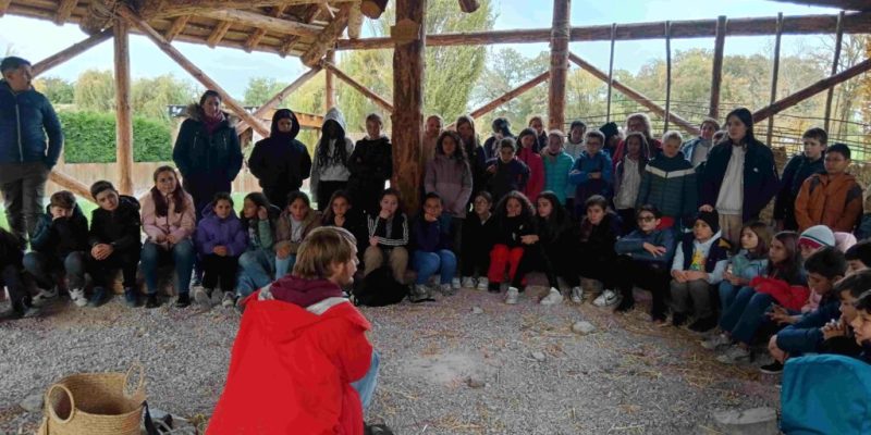 IMG_20231106_130517redim-1024x768