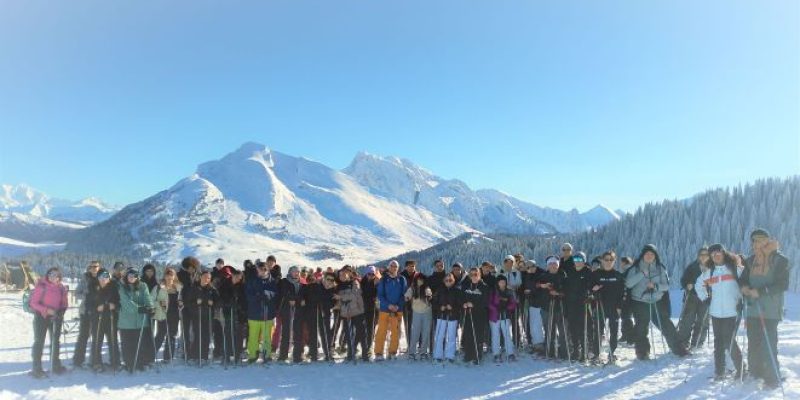 IMG_20240111_133544aa