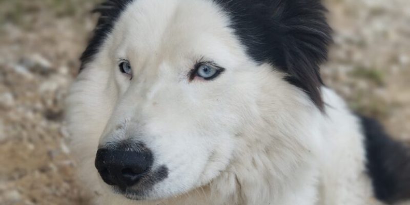 IMG_20250609_180846-771x1024