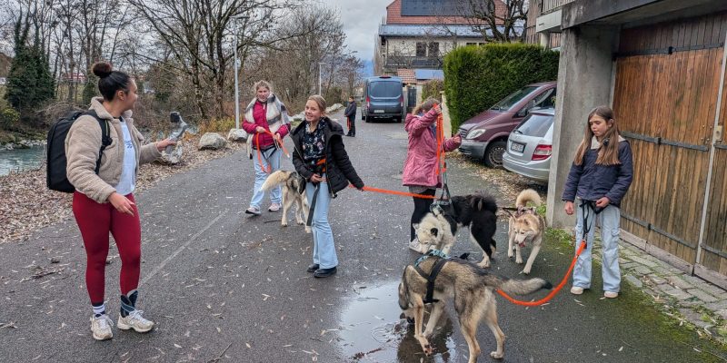 PXL_20251201_115231687.ACTION_PAN-02.ORIGINAL