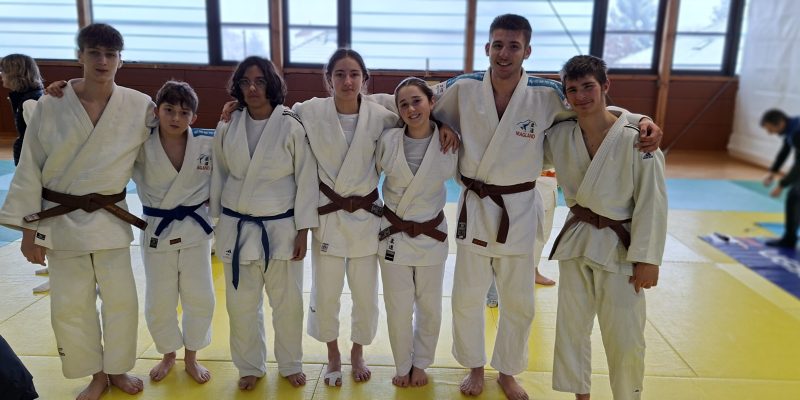 temp_file_1769890172340